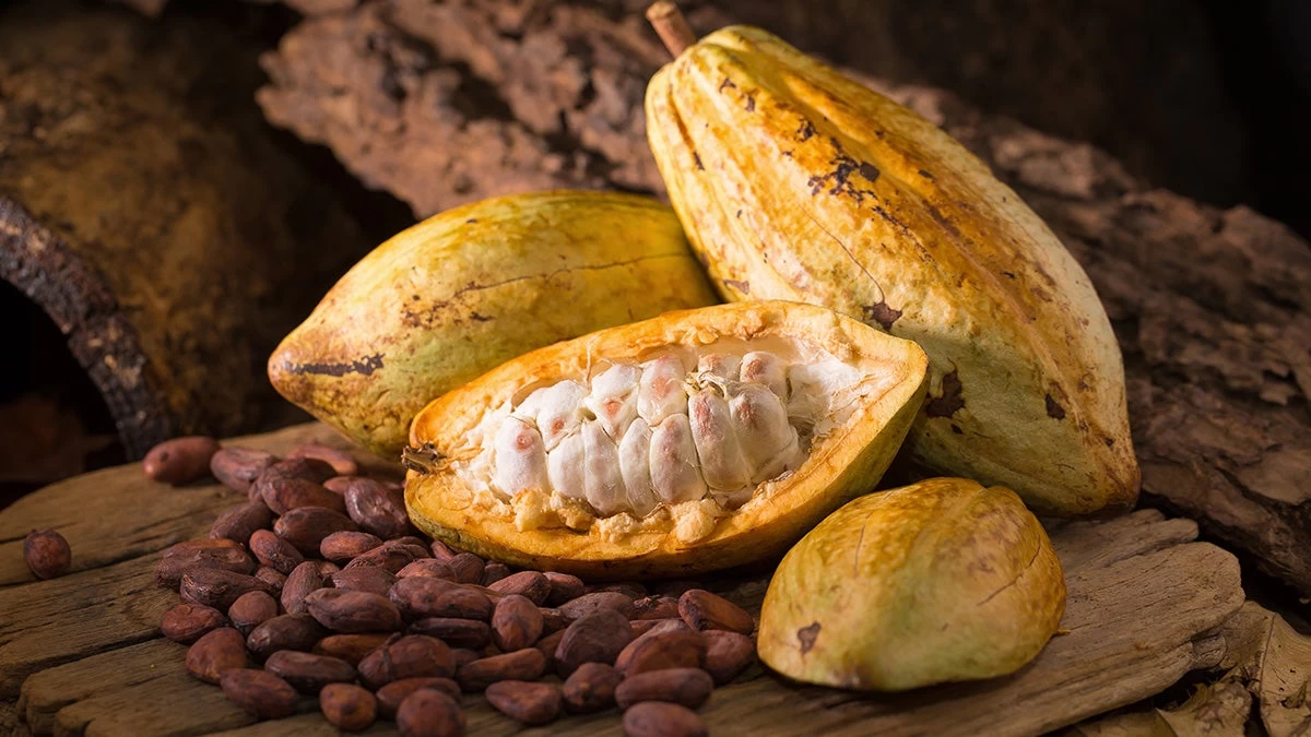 Η λατρεμένη υπερτροφή που αναστρέφει την παχυσαρκία